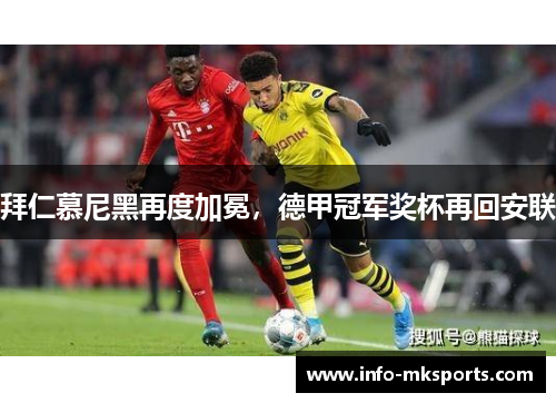 拜仁慕尼黑再度加冕，德甲冠军奖杯再回安联