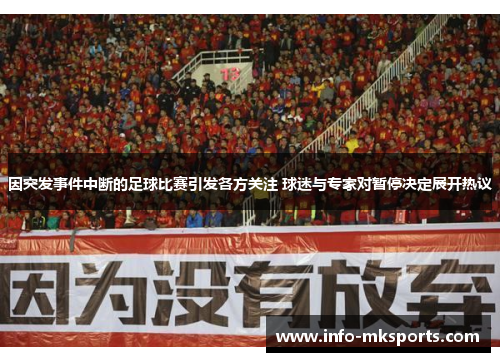 因突发事件中断的足球比赛引发各方关注 球迷与专家对暂停决定展开热议