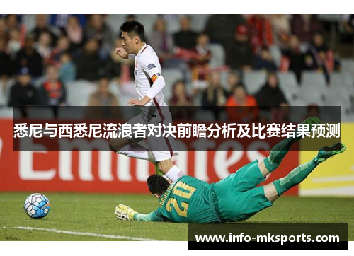 悉尼与西悉尼流浪者对决前瞻分析及比赛结果预测