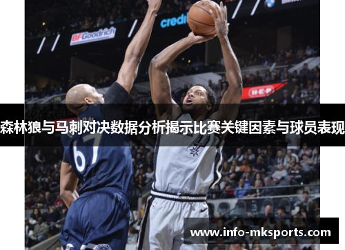 森林狼与马刺对决数据分析揭示比赛关键因素与球员表现