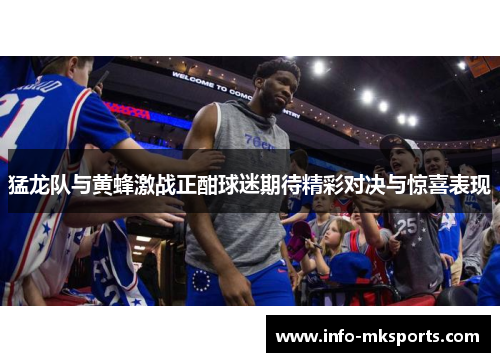 猛龙队与黄蜂激战正酣球迷期待精彩对决与惊喜表现